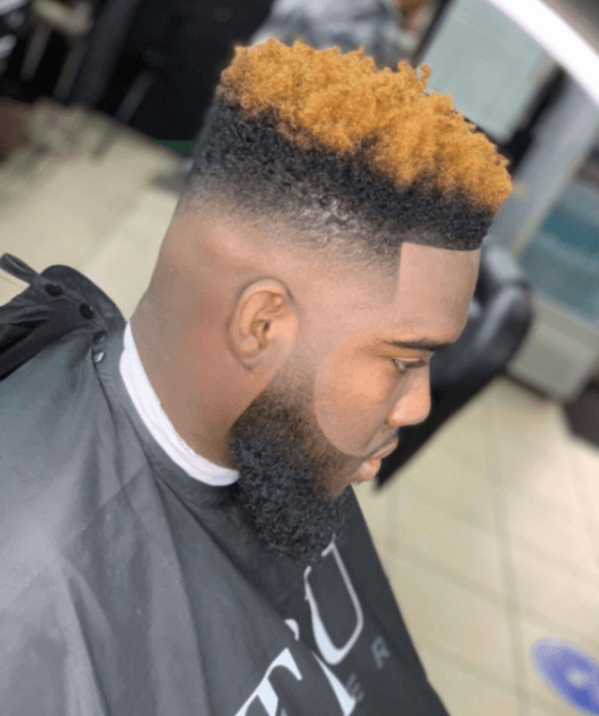 Genus Dye Application & Haircut