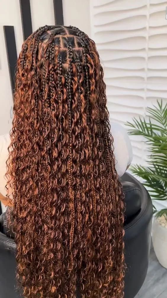 Butterfly Braids